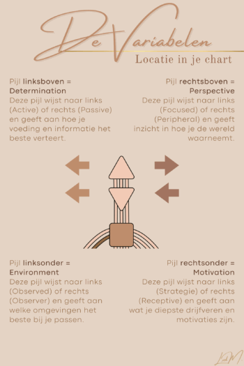  - Afbeelding 5